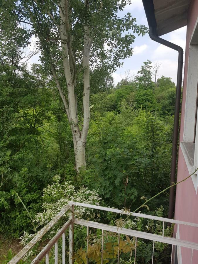 Vanzago Le Case Nel Bosco מראה חיצוני תמונה