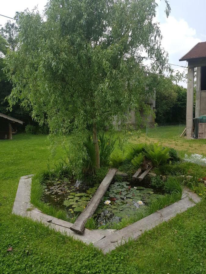Vanzago Le Case Nel Bosco מראה חיצוני תמונה
